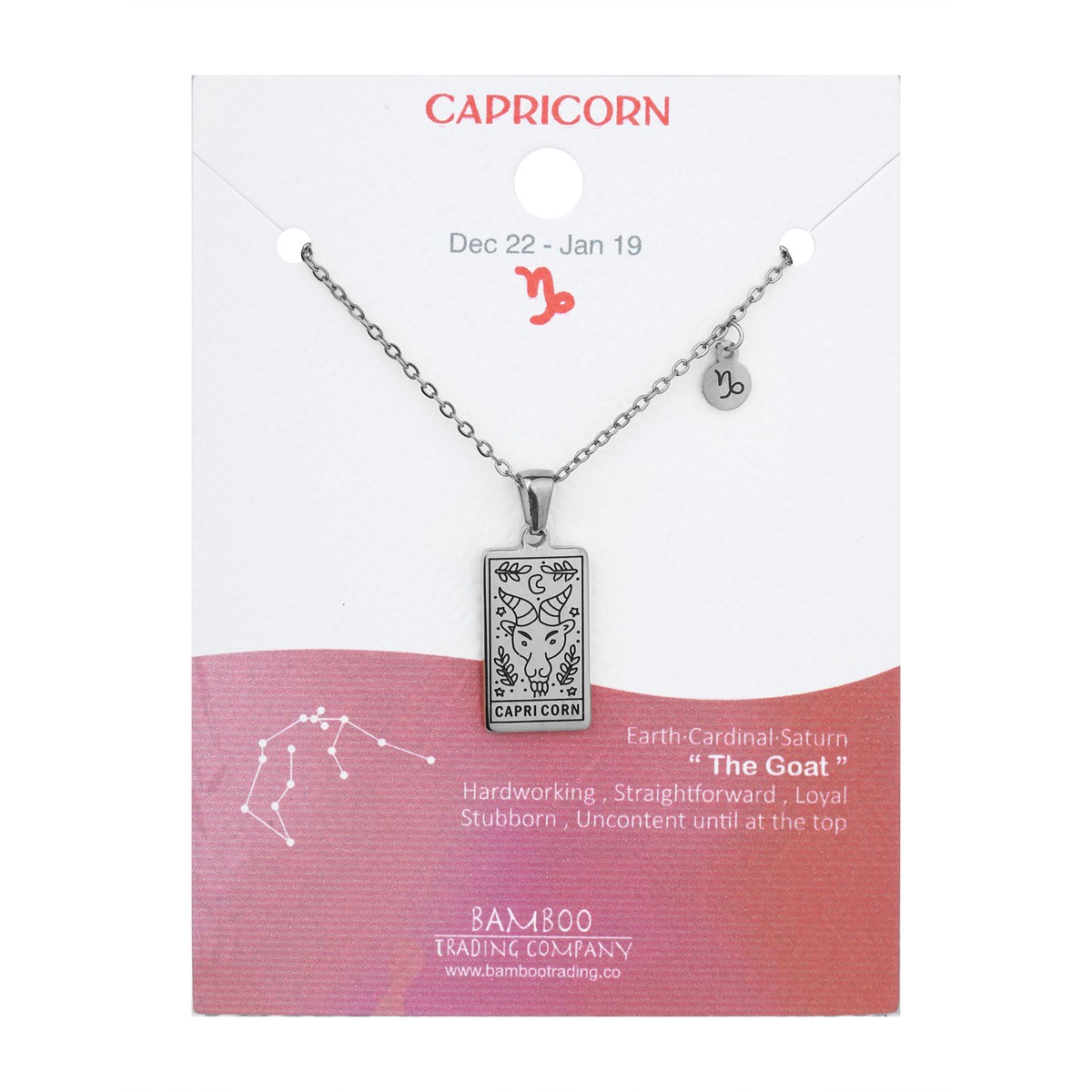 Zodiac Necklace Silver Capricorn RSN2025