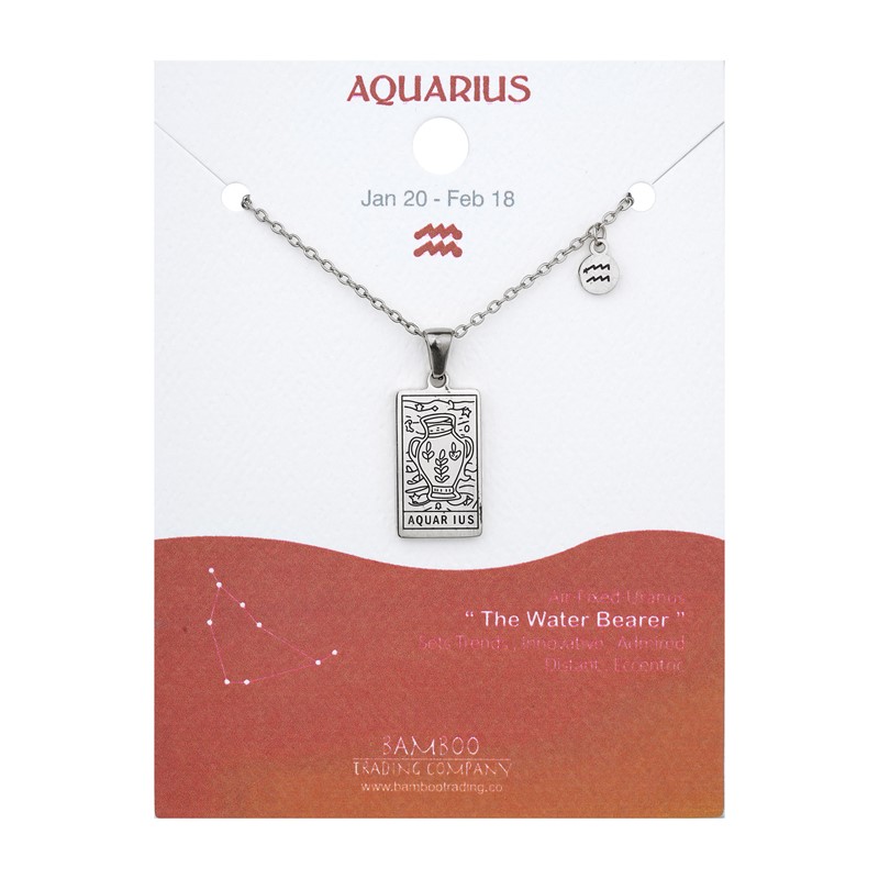 Zodiac Necklace Silver Aquarius RSN2022